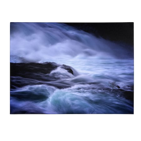 Philippe Sainte-Laudy 'Distractions' Canvas Art,16x24